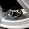 Car Wheel Hub Tire Valve Cap